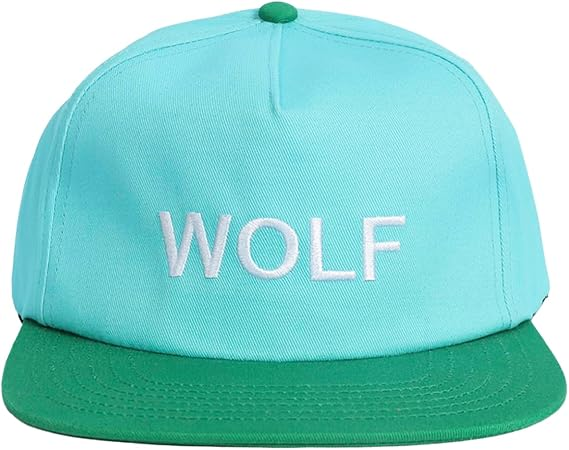 Tylers Cap Fashion Baseball Ha - Golf Cap Dad 评论和价格