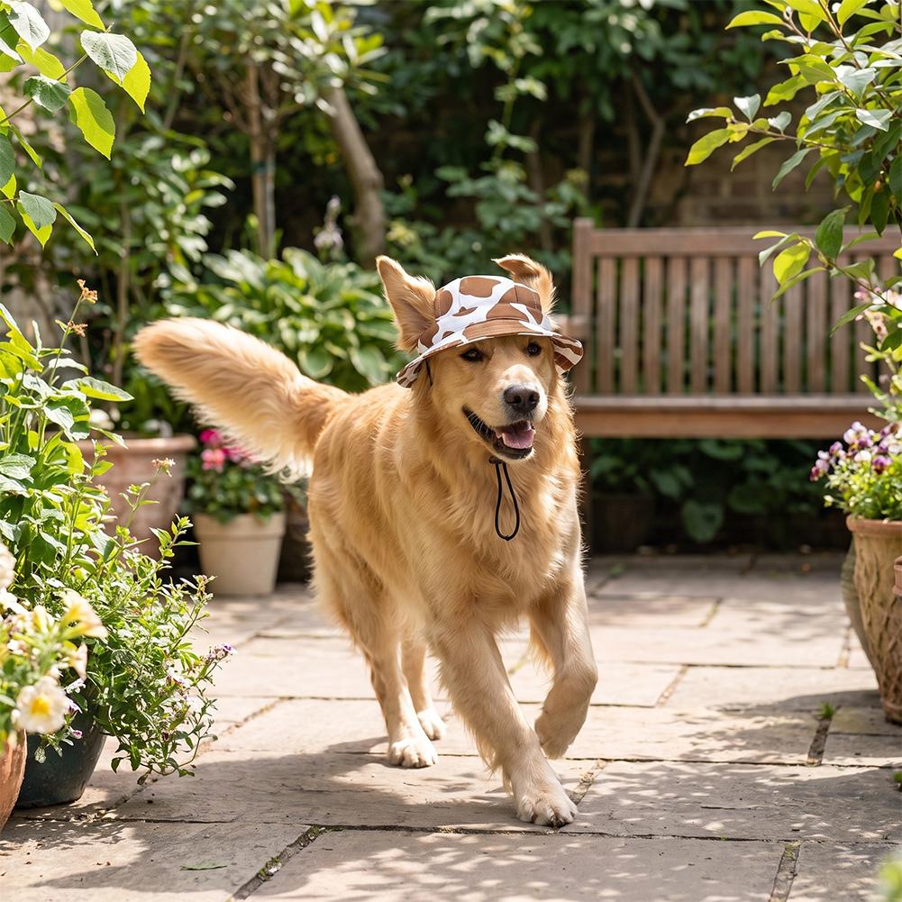 Printed Pet Fisherman Hat With - Bucket Hat Cotton 评论和价格
